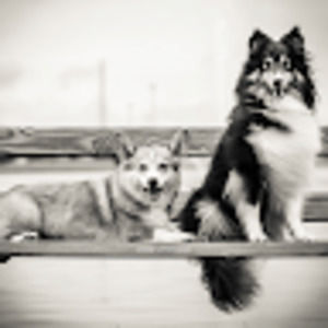 Meet your Posher, Janjulyan